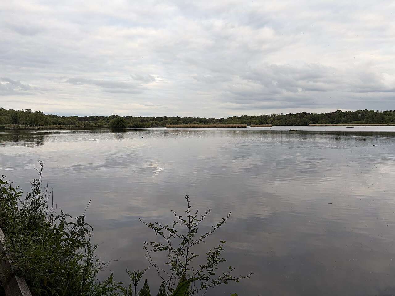 Fleet Pond in Fleet