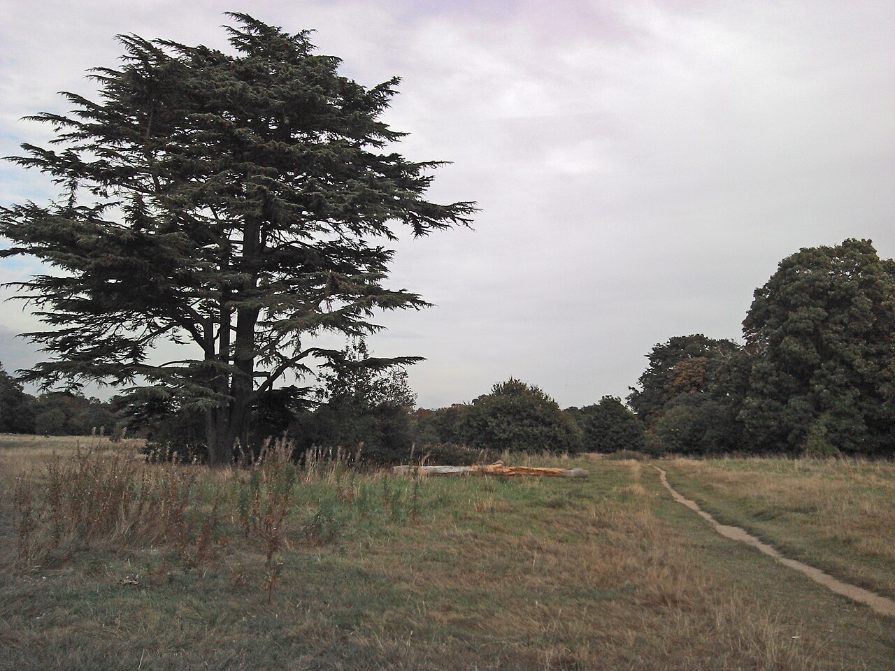 Sunbury Park and Walled Garden area in Sunbury-on-Thames