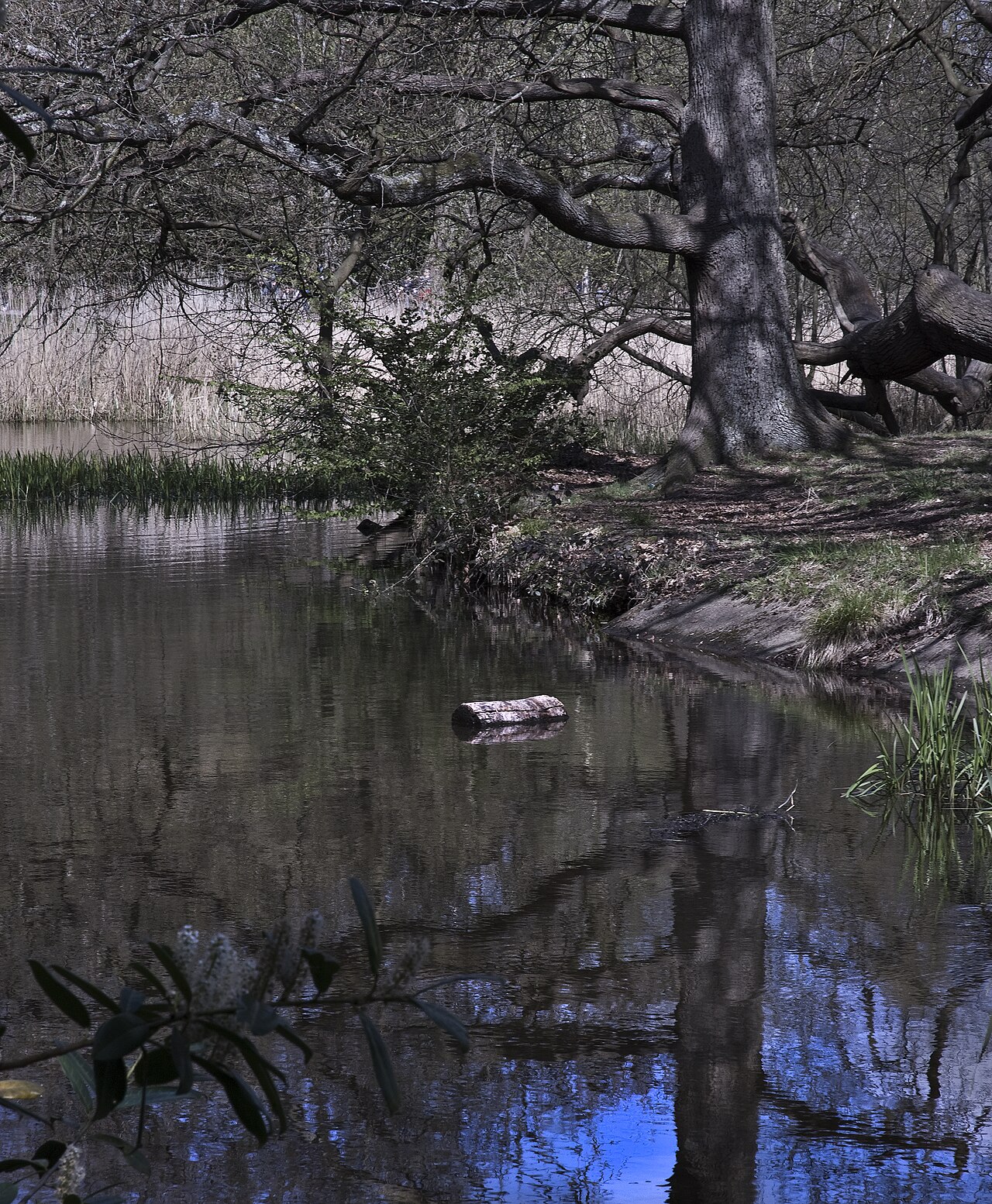 Virginia Water Lake in Virginia Water